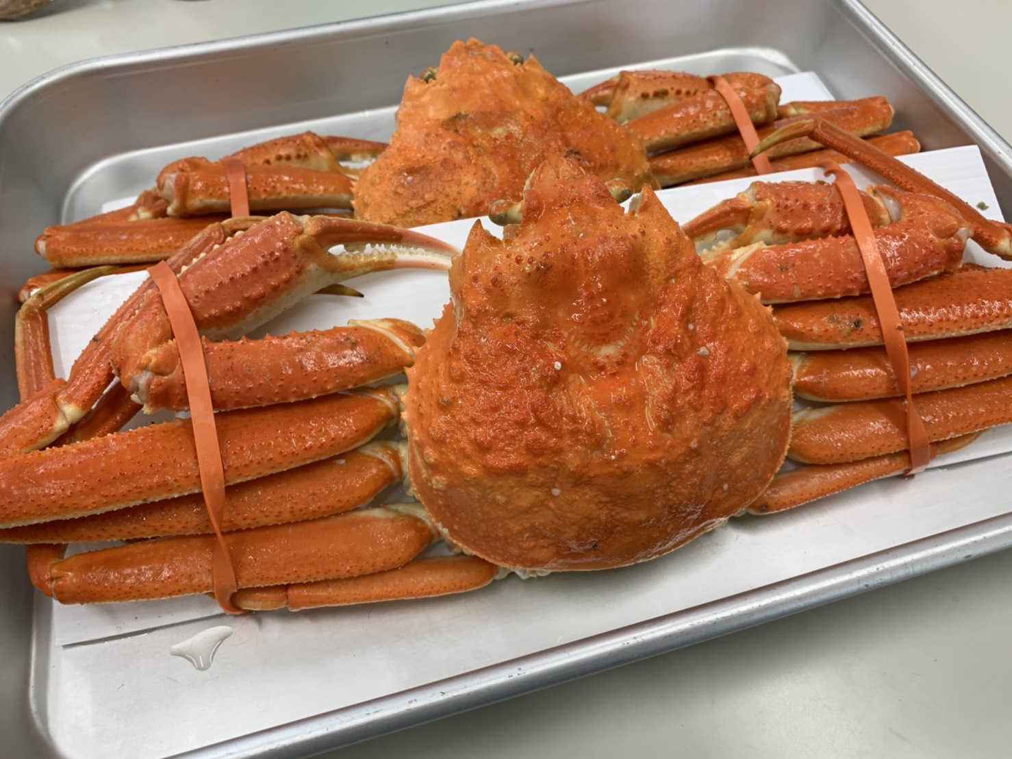 越前カニ解体作業 放課後等デイサービス 辻義塾 滋賀県草津市の放デイ